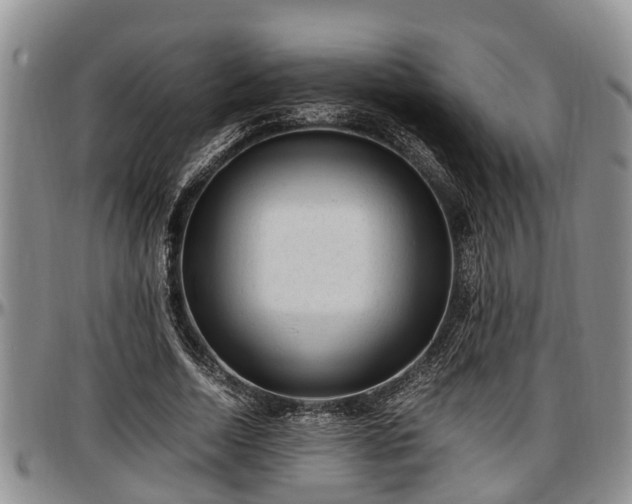 X0000097500730200802291557