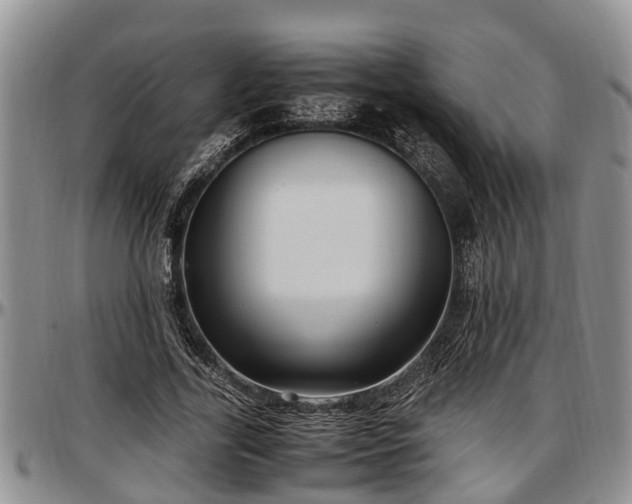 X0000097500731200802291557