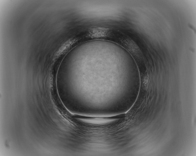X0000097500732200802291557