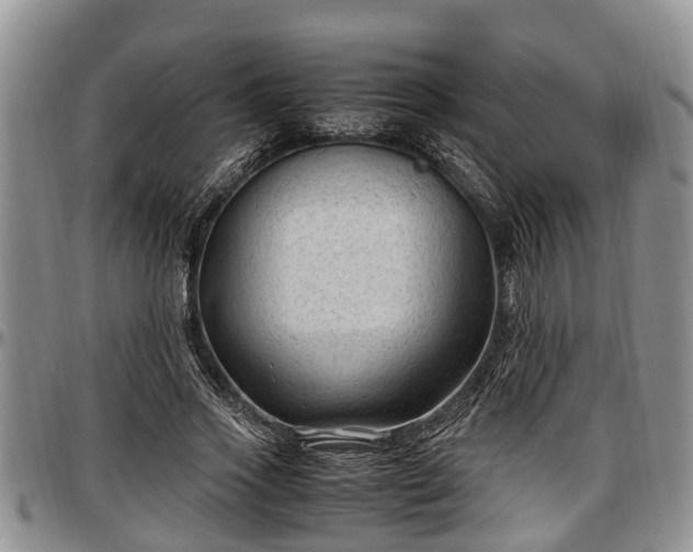 X0000097500733200802291557