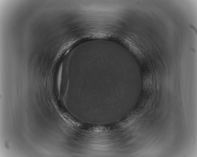 X0000097500736200802291557