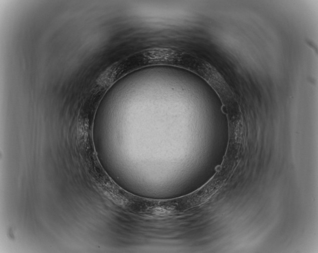 X0000097500737200802291557
