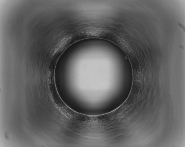 X0000097500738200802291558