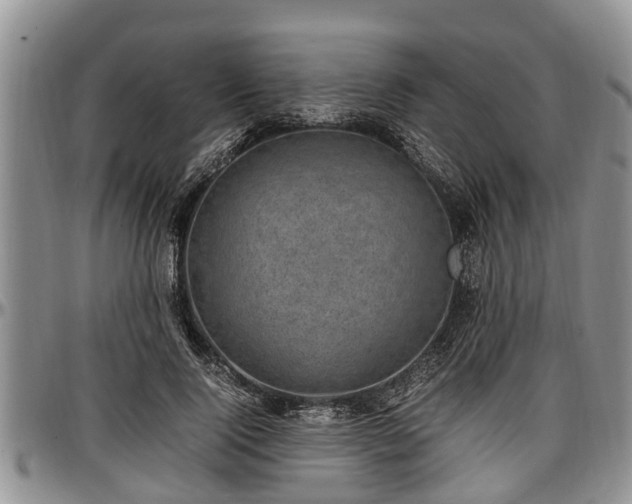 X0000097500740200802291558