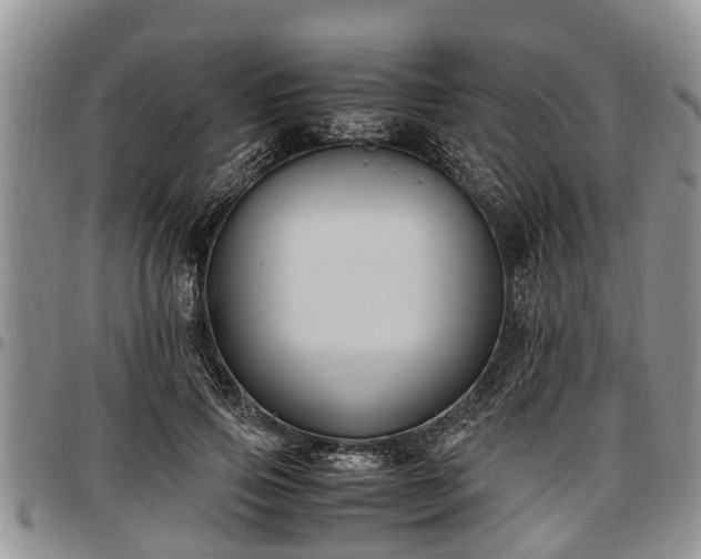 X0000097500741200802291558