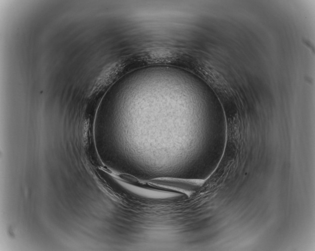 X0000097500742200802291558