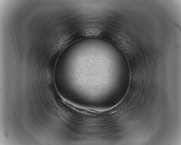 X0000097500743200802291558