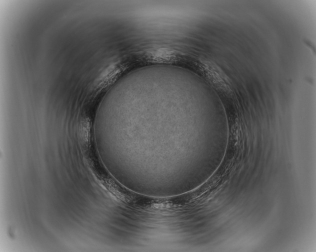 X0000097500744200802291558