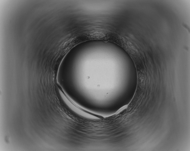 X0000097500745200802291558