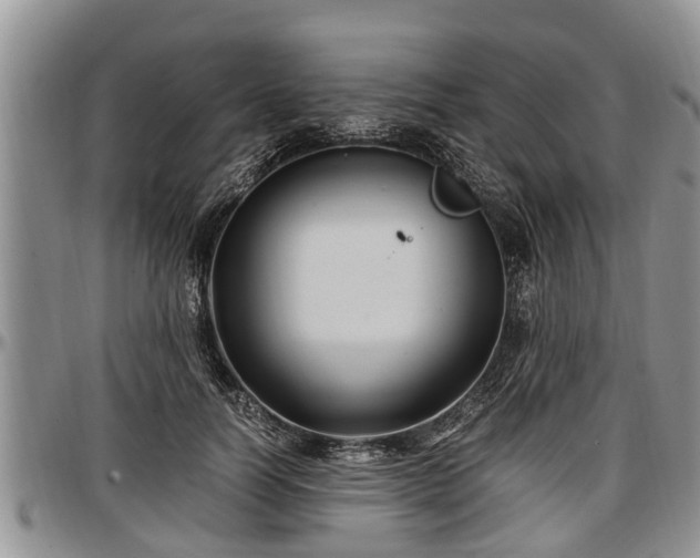 X0000097500746200802291558