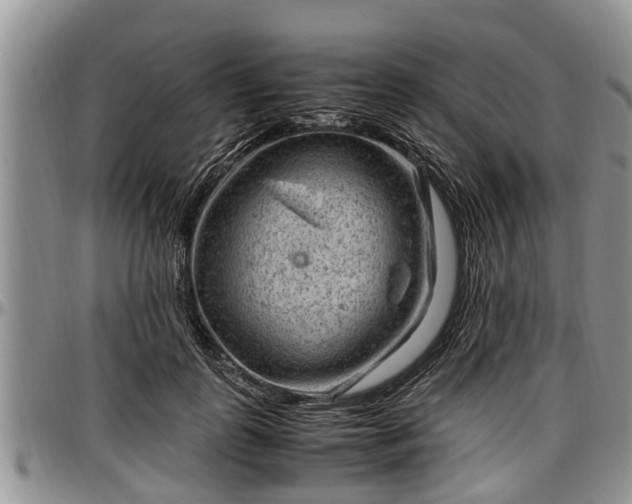 X0000097500747200802291558