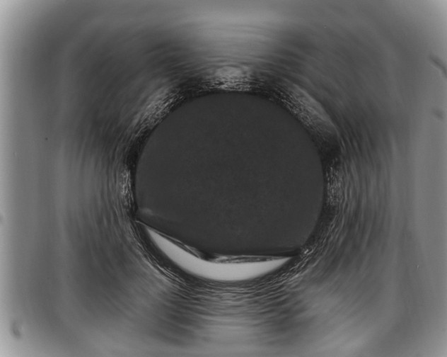 X0000097500748200802291558