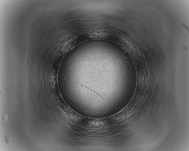 X0000097500749200802291558