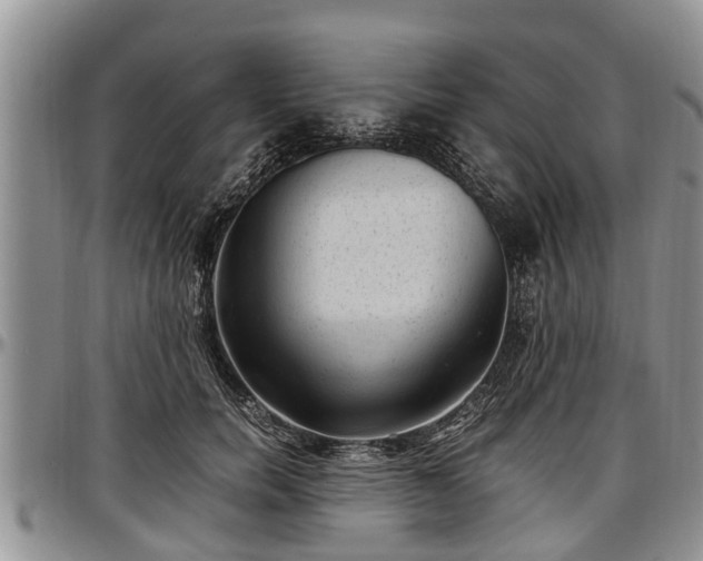 X0000097500750200802291558