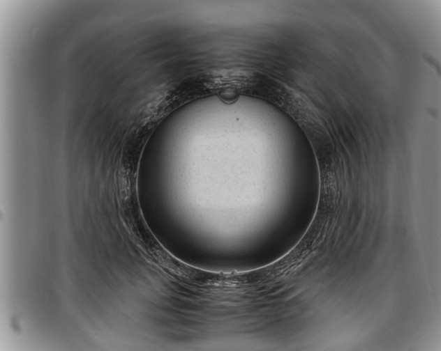 X0000097500751200802291558
