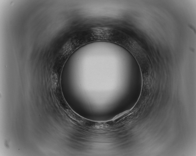X0000097500752200802291558