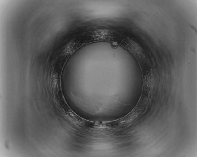 X0000097500754200802291558