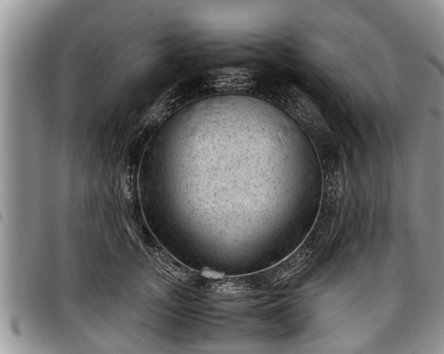 X0000097500755200802291558