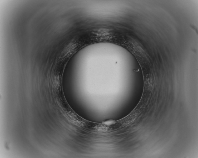X0000097500756200802291558