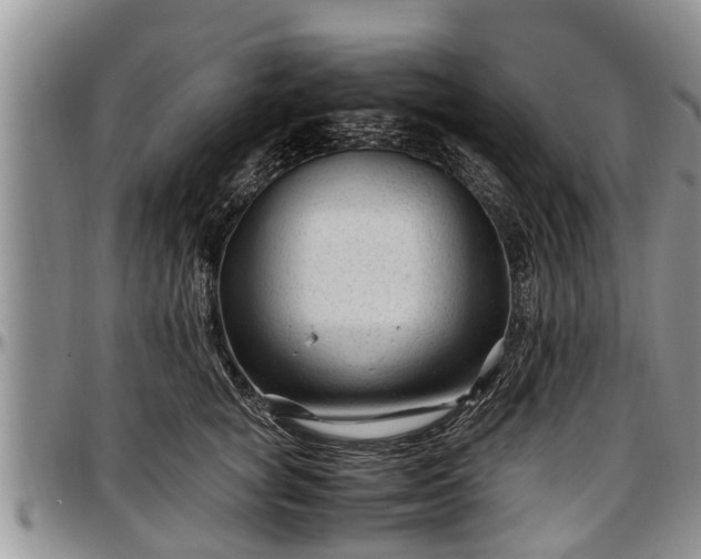 X0000097500757200802291558