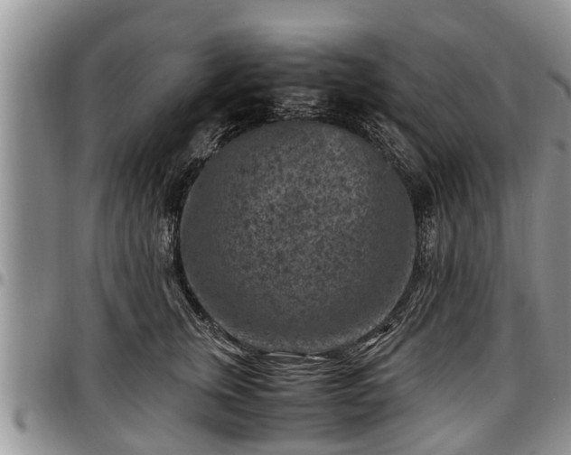 X0000097500759200802291558