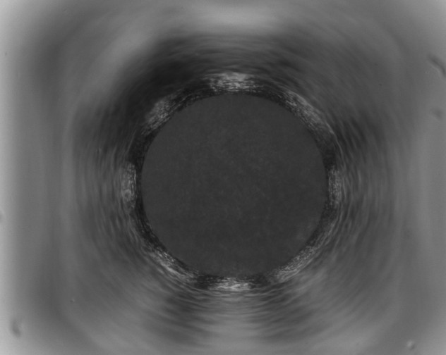 X0000097500760200802291558