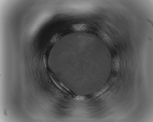 X0000097500762200802291558