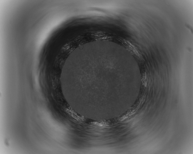 X0000097500763200802291558
