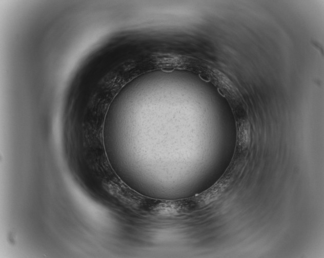 X0000097500764200802291558