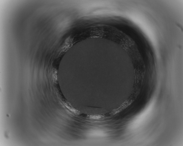 X0000097500766200802291558