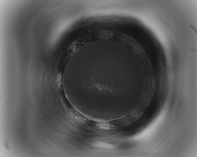 X0000097500767200802291558