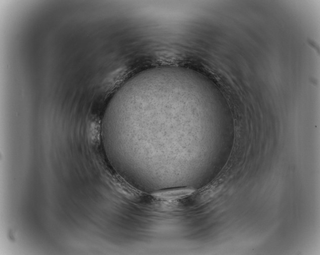 X0000097500768200802291558