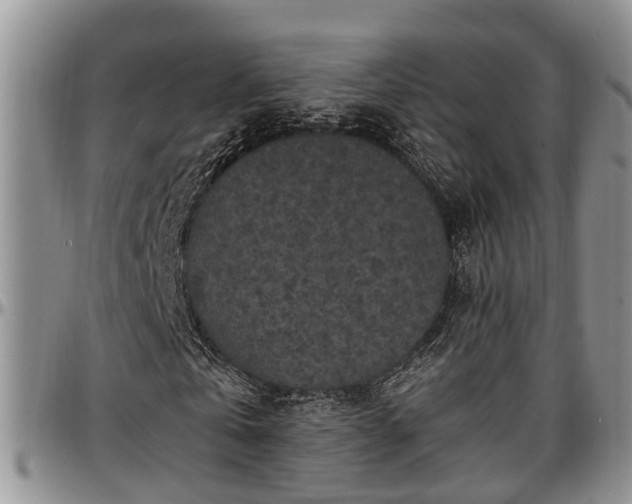 X0000097500769200802291557