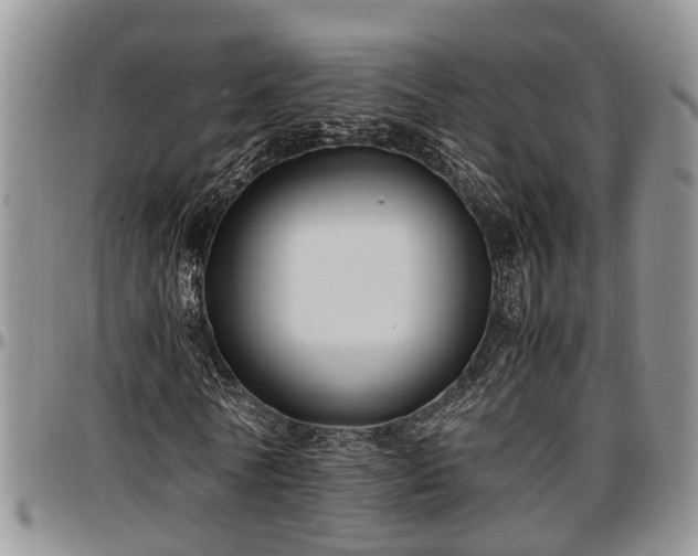 X0000097500770200802291557