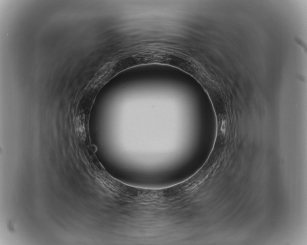 X0000097500771200802291557