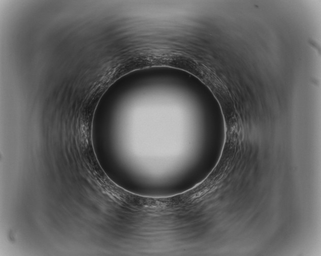 X0000097500772200802291557