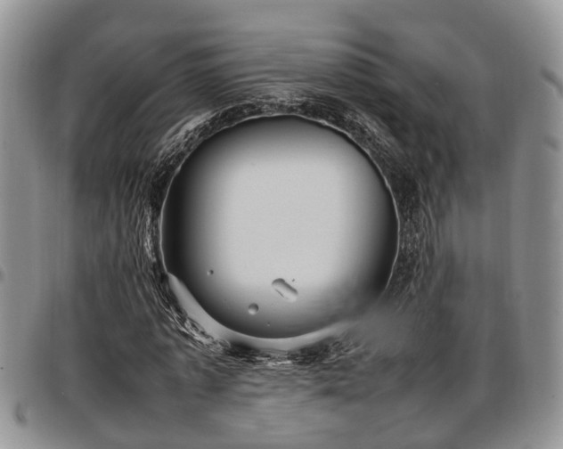 X0000097500773200802291557