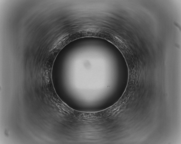 X0000097500774200802291557