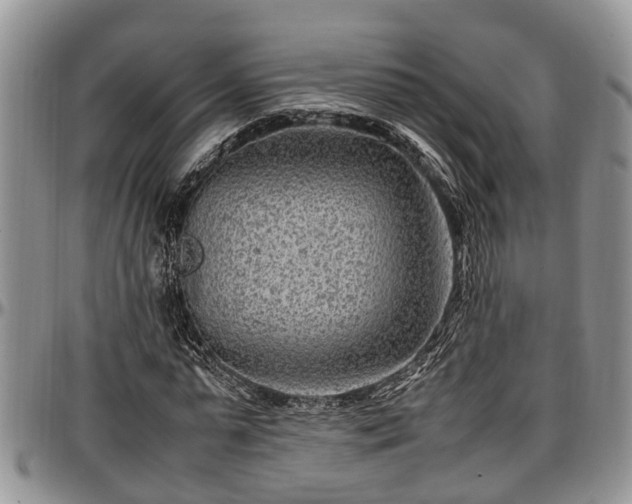 X0000097500775200802291557