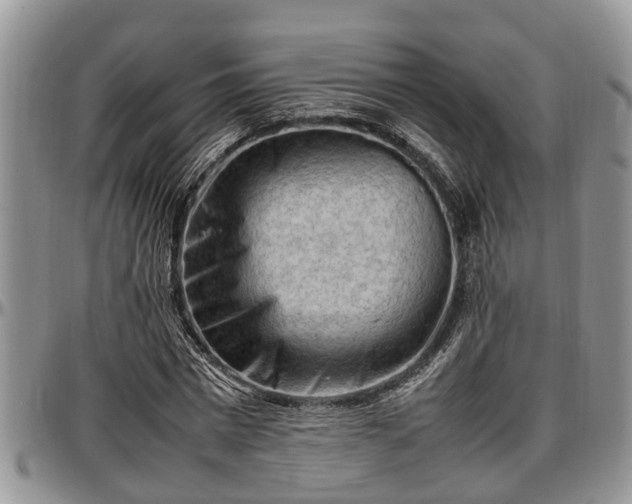 X0000097500777200802291557
