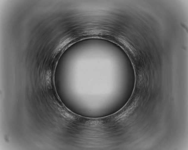 X0000097500778200802291557