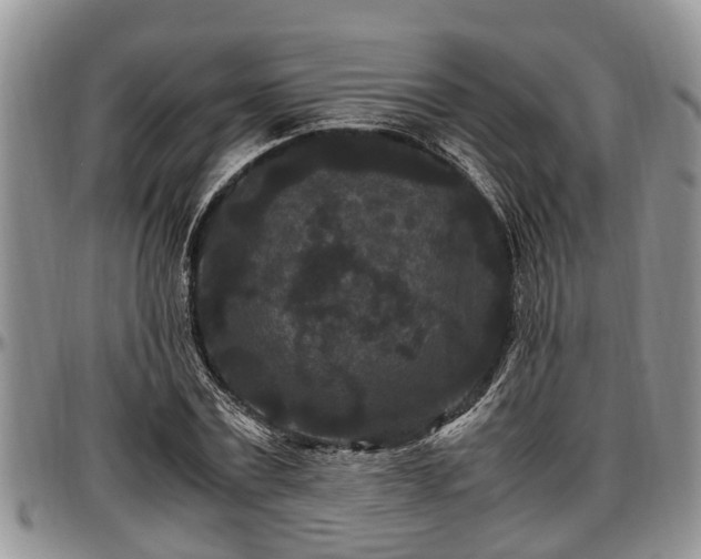 X0000097500779200802291557