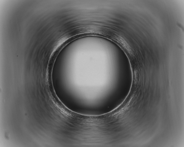 X0000097500780200802291557