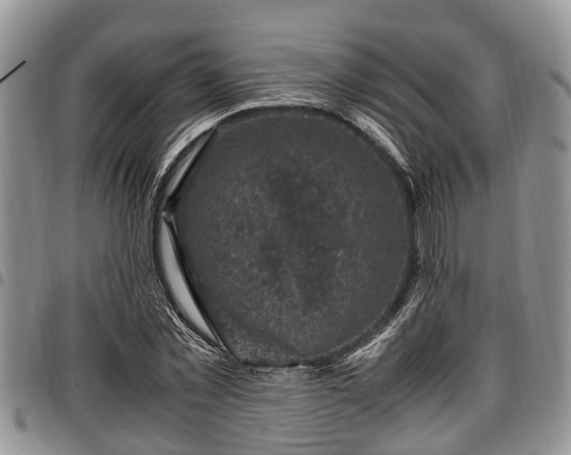 X0000097500781200802291557