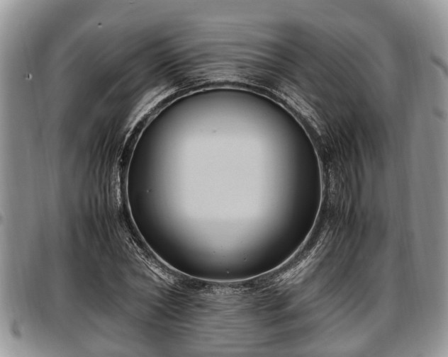 X0000097500782200802291557