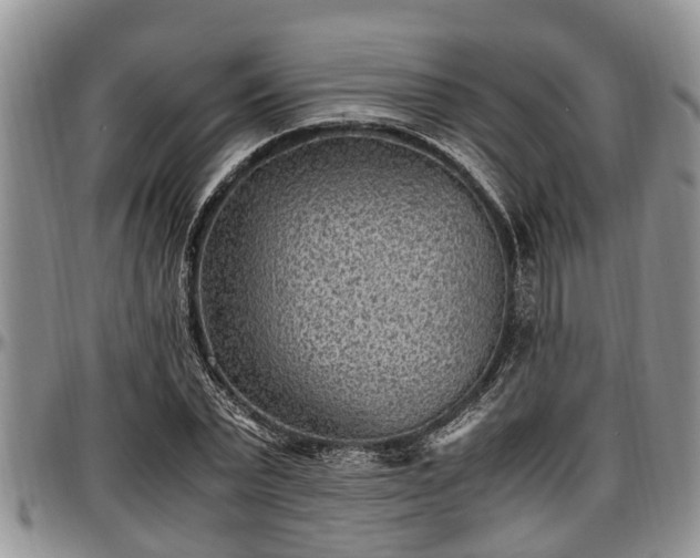 X0000097500783200802291557