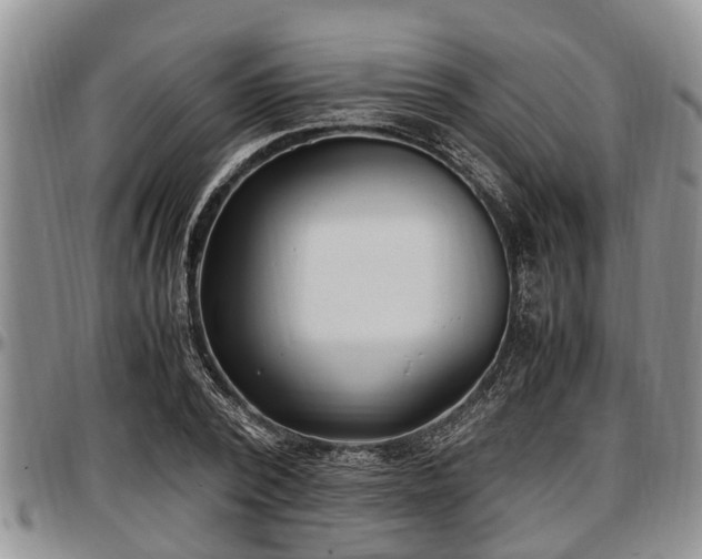 X0000097500784200802291557