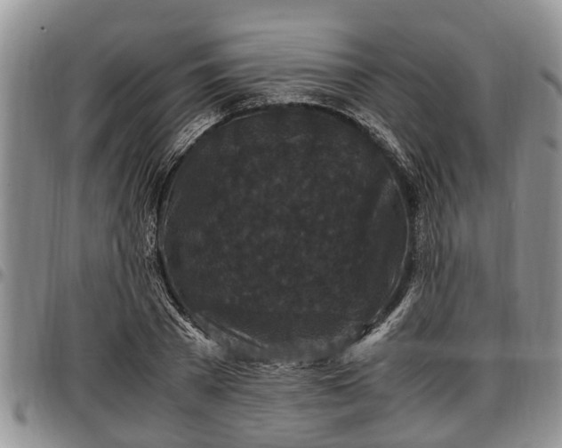 X0000097500785200802291557