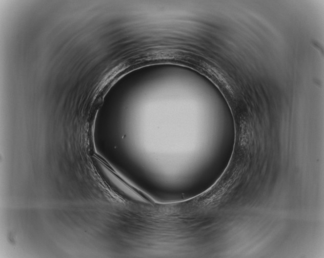 X0000097500786200802291557