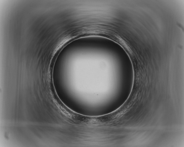 X0000097500787200802291557
